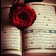 جمعة طيبة اللهم صلي و سلم على سيدنا محمد صلى الله عليه و سلم Quran Book Quran Wallpaper Quran