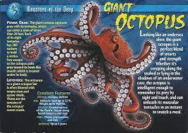 Giant Octopus Octopus Weird Creatures Underwater Creatures
