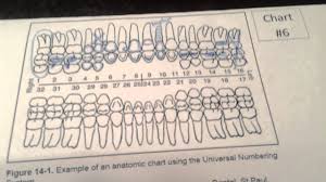 42 Rigorous Geometric Dental Charting