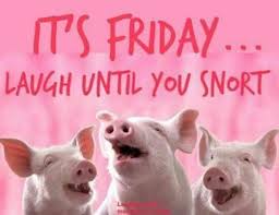 It's guaranteed to make you feel a lot better and more excited for the weekend. Pin By Mary Ellen On Funny Things Its Friday Quotes Friday Quotes Funny Friday Meme