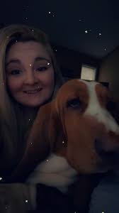 My sweet basset hounds 💙💜💛 Beau,Maggie and Mollie.