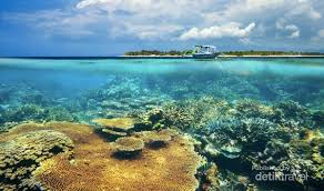 Oleh parlindungandiposting pada 17 november 201917 november 2019. Gili Trawangan Lombok Katanya Tak Pernah Tidur