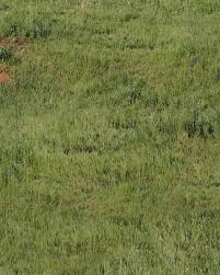 Pickering airport on ministers radar