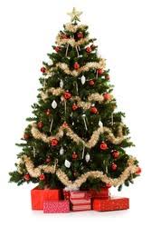 Over 2,951,722 christmas pictures to choose from, with no signup needed. Christmas Tree 137 Free Stock Photos Image Collection By Stockvault Net