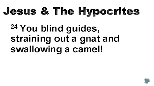 The gnat and the camel are in striking contrast to each other in size. Jesus The Hypocrites Text Matthew 23 24 1