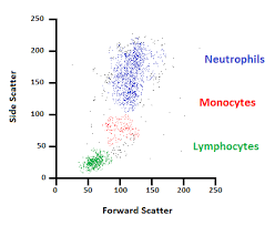 When attenuation is due to. Flow Cytometry A Survey And The Basics