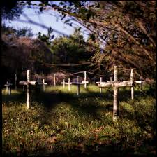 Deadly Secrets: The Lost Children Of Dozier Season 1 Episodes Streaming  Online | Free Trial | The Roku Channel | Roku