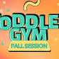 Toddler Gym - Fall Session 2025 event in Dubois, WY