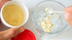 Candida Albicans Ein Darmpilz Fuhrt Zu Autoimmunerkrankungen Hashimoto Info De