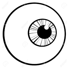 Image result for eye balls