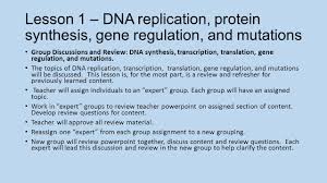 Dna supplies the instructions for amino acids to form specific proteins like enzymes, which speed up. Unit 3 Molecular Biology Ppt Download