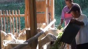 Maybe you would like to learn more about one of these? Https Jatim Tribunnews Com 2021 08 08 Busur Panahan Horsebow Karya Warga Magetan Tak Terdampak Ppkm Laris Di Amerika Dan Timur Tengah Https Cdn 2 Tstatic Net Jatim Foto Bank Images Panahan Jenis Horsebow Mohamed Rangga Al Qhadaffi Jpg