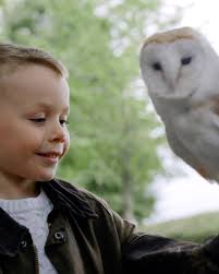 Four Seasons Hotels and Resorts