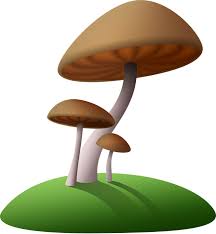 57+ gambar kartun lucu memasak, koleksi baru! Jamur Kartun Toadstools Gambar Gratis Di Pixabay