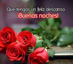 Buenas Noches Bunch Of Red Roses Flowers Online Red Rose Bouquet