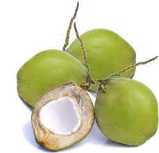 Gambar buah jatuh dari pohon. Manfaat Buah Kelapa