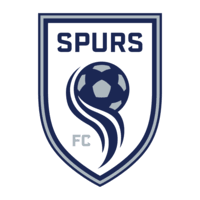 4.8 out of 5 stars 55. Spurs Fc Linkedin