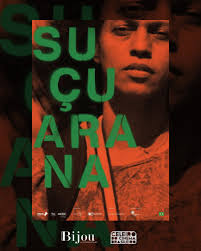 🕔 SESSÃO DAS 17h 🎞️ Em Cartaz Sonhar com Leões