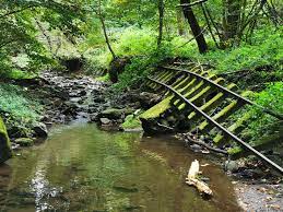 A nagy börzsönyi erdei kisvasút őszi menetrendje. Elhagyatott Erdei Kisvasut Felejthetetlen Panorama Fedezd Fel A Borzsony Vadregenyes Volgyet