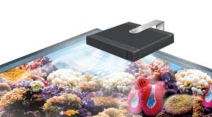 Introducing Fluval High Performance Led Lighting