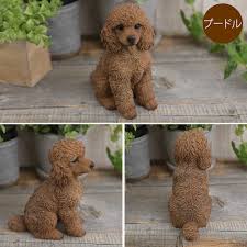 本物そっくり お座り子犬 プードル ラブラドゥードル わんちゃん 置物オーナメント リアル ドッグ こだわり 毛並み dog 愛嬌 カフェ インテリア 玄関 ベランダ アート 飾り かわいい ガーデン雑貨 ガーデン用品屋さん 子犬 わんちゃん 犬 置物
