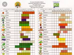 Seasonal Good Chart Vegetable Seasoning Vegetable Chart