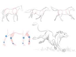 See more ideas about animal drawings, drawings, animal anatomy. The Secrets In Drawing Animals Easy Tutorial 5 Steps Toons Mag