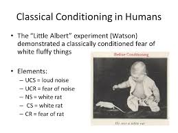 Unit 6 Learning What A Giant Dingbat That S Not How Learning Works Ppt Download