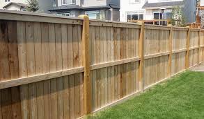 The cedar resists insects and decay making it a natural choice for your outdoor projects. Privacy Fence Prices Most Popular Privacy Fence Styles Cost Per Foot