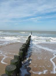 midweek aan de kust nederlands dutch