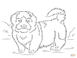 All rights belong to their respective owners. Shih Tzu Coloring Page Free Printable Coloring Pages 1551618 Png Images Pngio