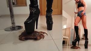 Boots crush crab - ThisVid.com