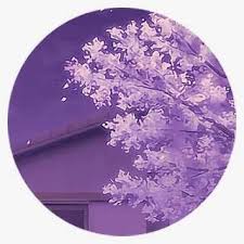 You can also upload and share your favorite purple purple anime wallpapers 1080p. Icon Iconhelp Circle Purple Anime Freetoedit Anime Purple Icon Png Image Transparent Png Free Download On Seekpng