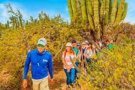 Cabo adventures, cabo san lucas. Los Cabos Transfers Connect