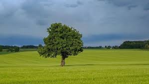 Qui dit nouveau mois, dit nouveaux contenus sur disney+ ! Meteo Mai 2019 Un Mois De Mai 2019 Froid Et Avec Peu De Precipitations