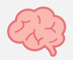 Pin By Ambarmiraflowers On Drawing In 2021 Cartoons Png Brain Drawing Brain Illustration