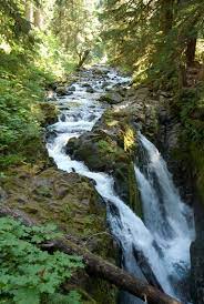The sky isn't too attractive and there's not much to do around the lake, so we start taking this marymere falls trail. Sol Duc Falls Washington Trails Association