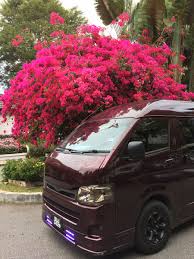 Daily > weekly > monthly. Van Sewa Shah Alam On Twitter Cameronhighland