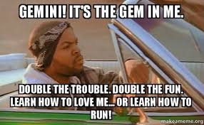50 Best Gemini Memes That Describe This Zodiac Sign Funny Humor Laughing So Hard