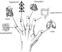 Twelve Primary Channels