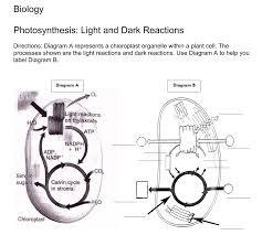 Maybe you would like to learn more about one of these? Biology Photosynthesis Light And Dark Reactions Chegg Com