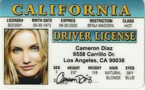 Why Cameron Diaz Credits Benji