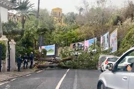 Si prevedono precipitazioni a carattere di. Maltempo Grossi Disagi In Campania 21enne Muore Schiacciato Da Un Albero Napolitan It