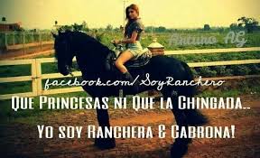 Ranchera Frases De Caballos Frases Chingonas Frases Perronas