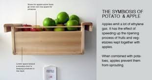 Symbiosis Of Potato Apple Save Food Diy Pantry Organization Fruit And Veg