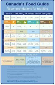 Canada S Food Guide Recomendations For Toddlers Baby Food Guide Food Guide Toddler Nutrition