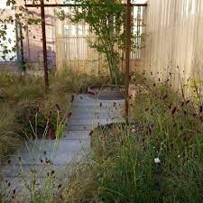 Image Result For Tom De Witte Garde Small Urban Garden Japan Garden Australian Native Garden