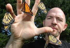 Bob's Butterfly Page New Zealand.