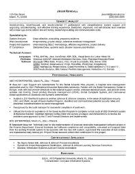 it analyst resume example