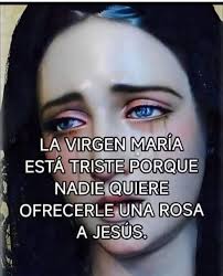 No saltes! Regala una flor a San Antonio.